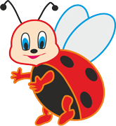 biedronki
